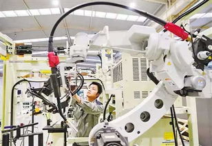 广东人工智能机器人厂家